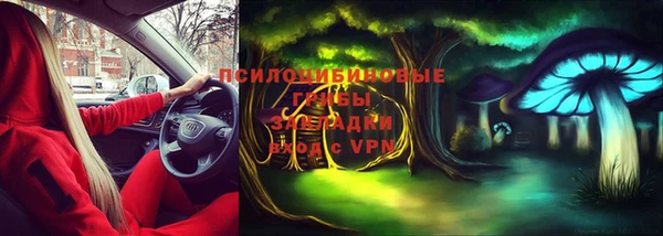 герыч Арсеньев
